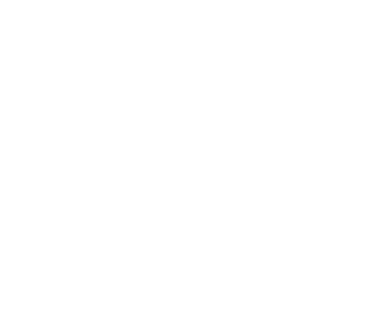 nivo1 partner